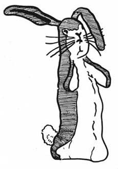 The Velveteen Rabbit