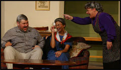 Over the River and Through the Woods